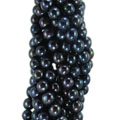 BEADS PEARL BE4448